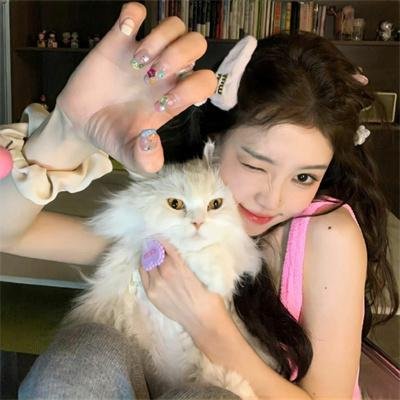 霸王龙：进化之旅